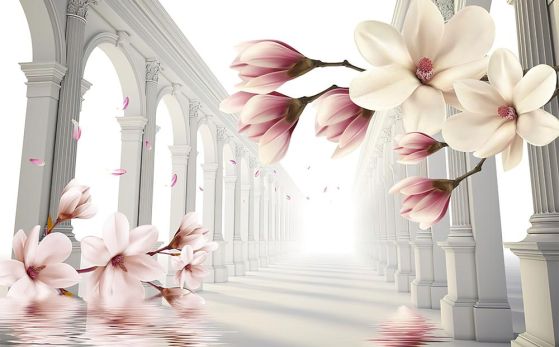 Fototapeta magnolie białe różowe
