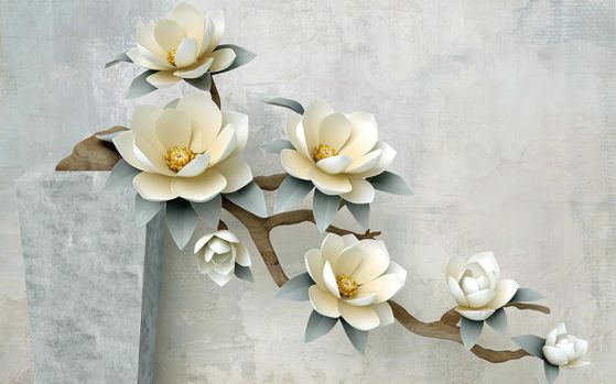 Fototapeta Kwiaty magnolii szara zielona