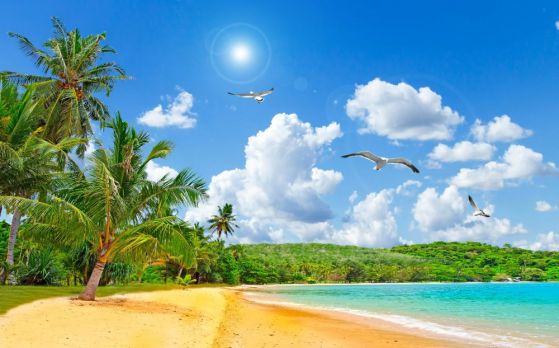 Fototapeta słoneczna plaża na tropikalnej wyspie