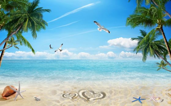 Fototapeta piaszczysta plaża i ocean