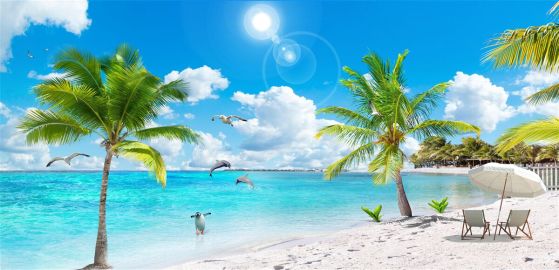 Fototapeta Piaszczysta plaża z palmami
