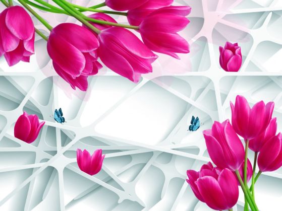 Fototapeta luksusowe różowe tulipany w pąku