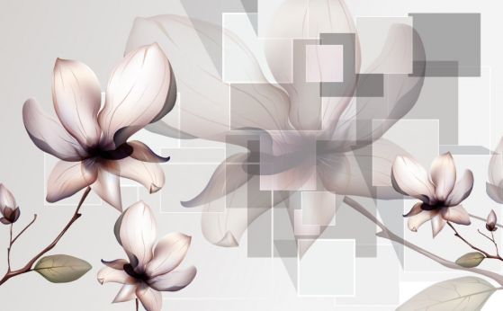 Fototapeta duże białe magnolie