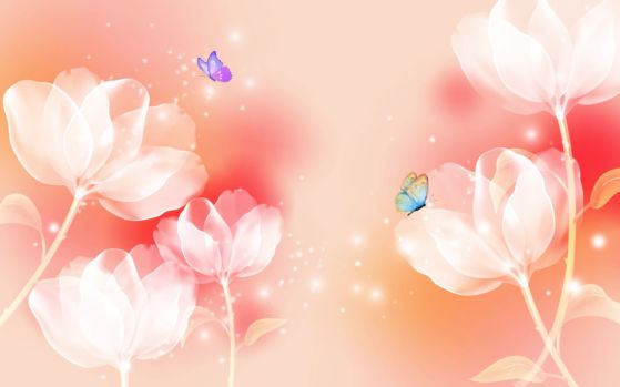 Fototapeta przezroczyste tulipany