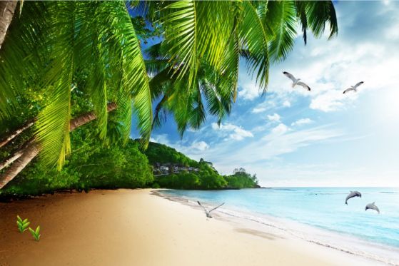 Fototapeta piaszczysta plaża na bezludnej wyspie
