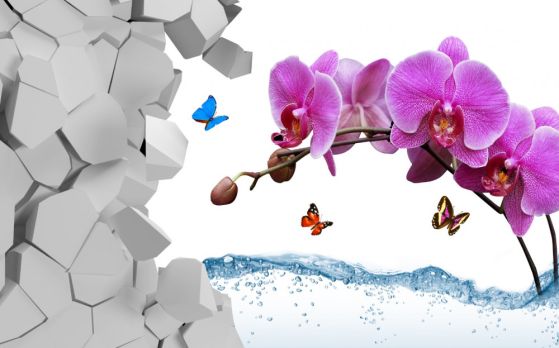 Fototapeta fioletowa gałąź orchidei i motyl