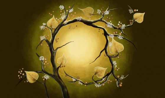 Fototapeta kwitnąca żółta magnolia na tle słońca
