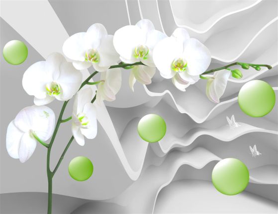 Fototapeta biała orchidea i pływające zielone kulki