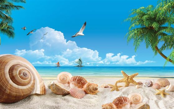 Fototapeta plaża z muszlami i rozgwiazdami
