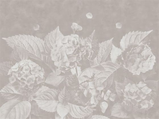 Fototapeta Magnolie ledwo widoczne