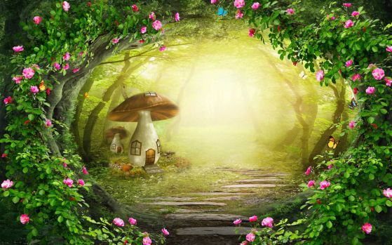 Fototapeta Domek z grzybami o świcie w lesie