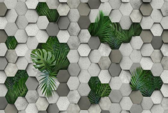 Fototapeta Geometryczne kształty i zioła objętościowe
