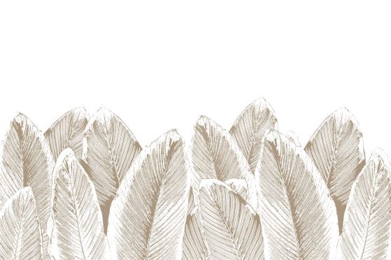 Fototapeta Duże liście czarnych białych palm