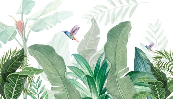 Fototapeta Kolibry nad palmami