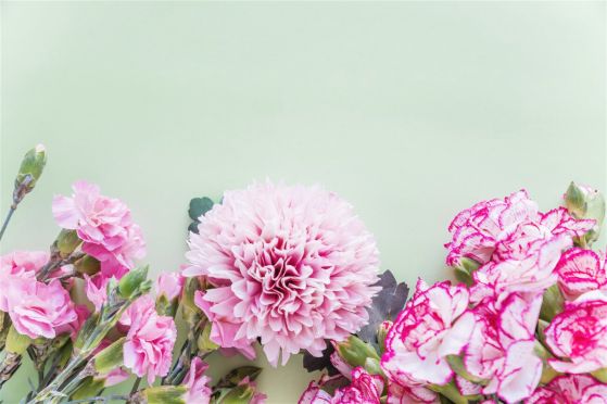 Fototapeta 3D Astra - Light -pink