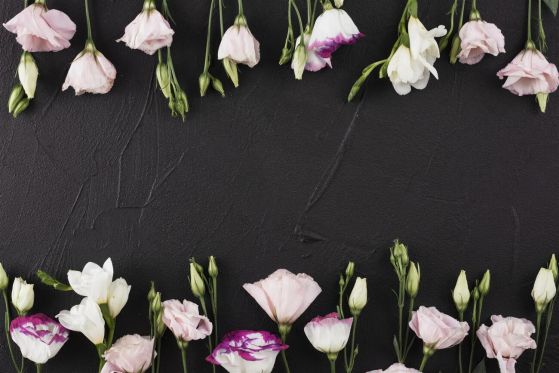 Fototapeta Delikatne światło eustoma rozciąga się na wodę