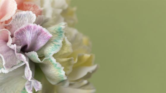 Fototapeta Goodranga piękna 3D