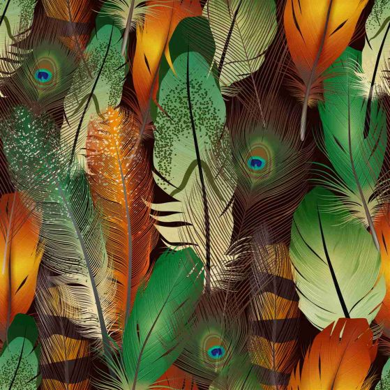 Fototapeta Naturalne pióra