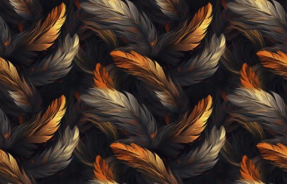 Fototapeta Kolekcja Feathers