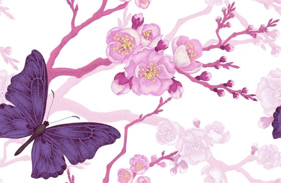 Fototapeta Fioletowy motyl i kwiaty