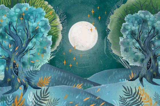 Fototapeta Księżyc w pełni między drzewami