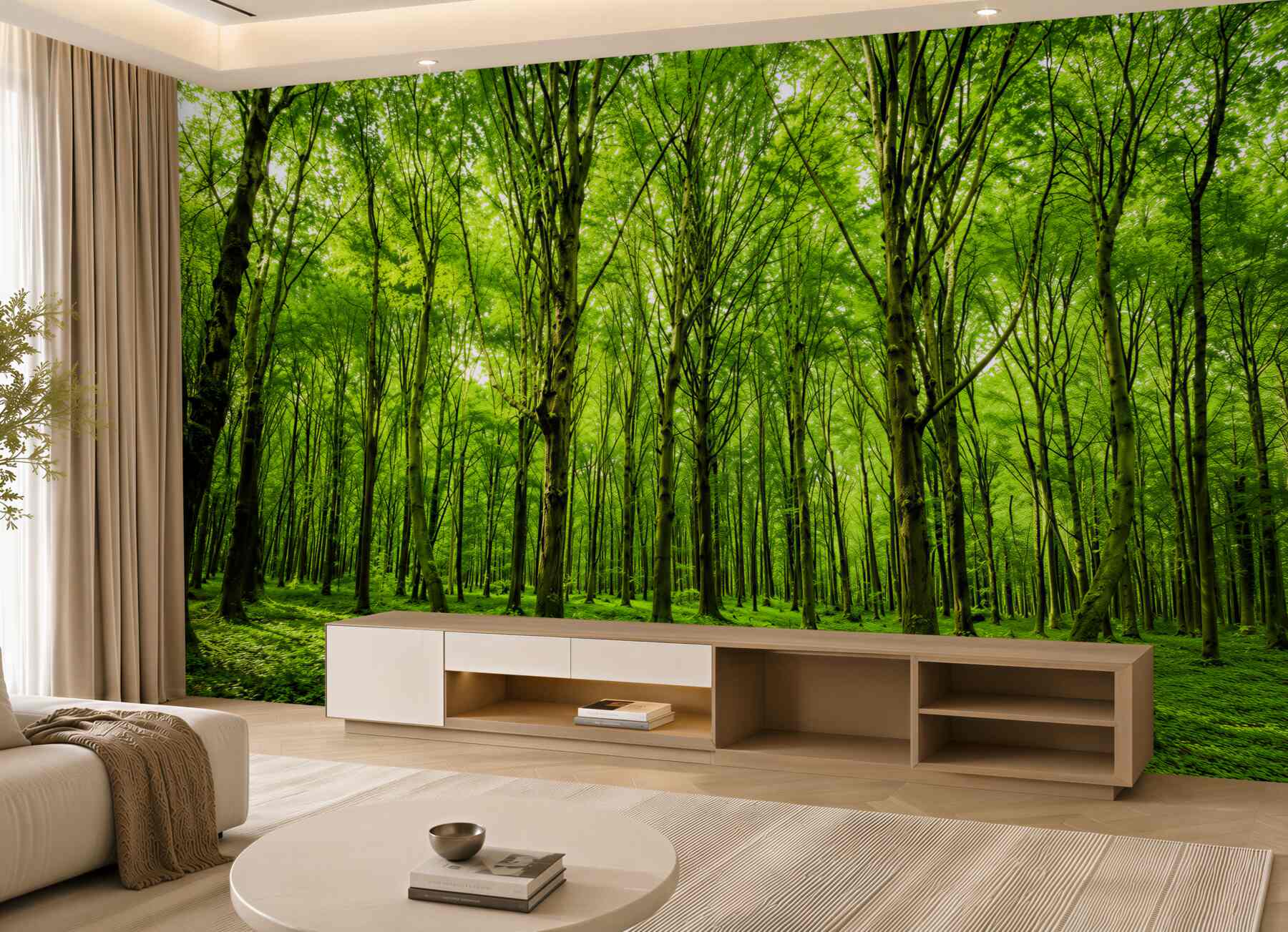 Fototapeta zielony las we mgle z promieniami słońca spokojna natura?v2345