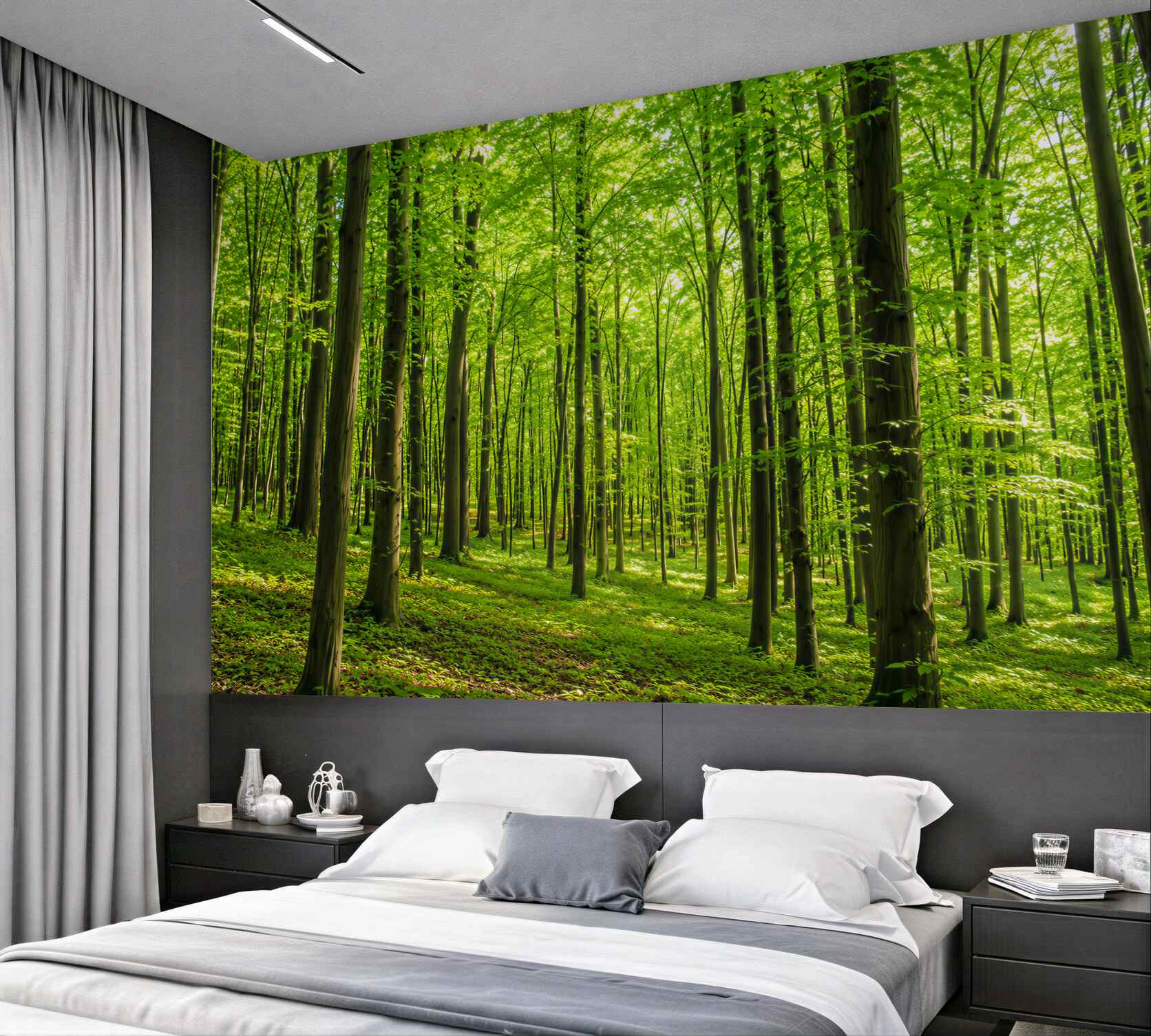 Fototapeta smukły letni las liściasty?v2345