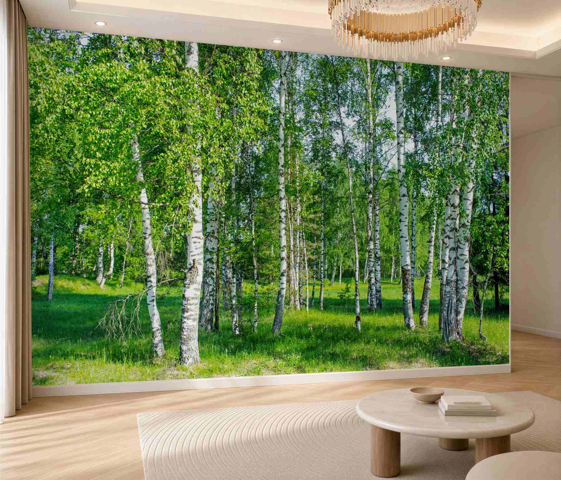 Fototapeta zielone brzozy w letnim gaju?v2345