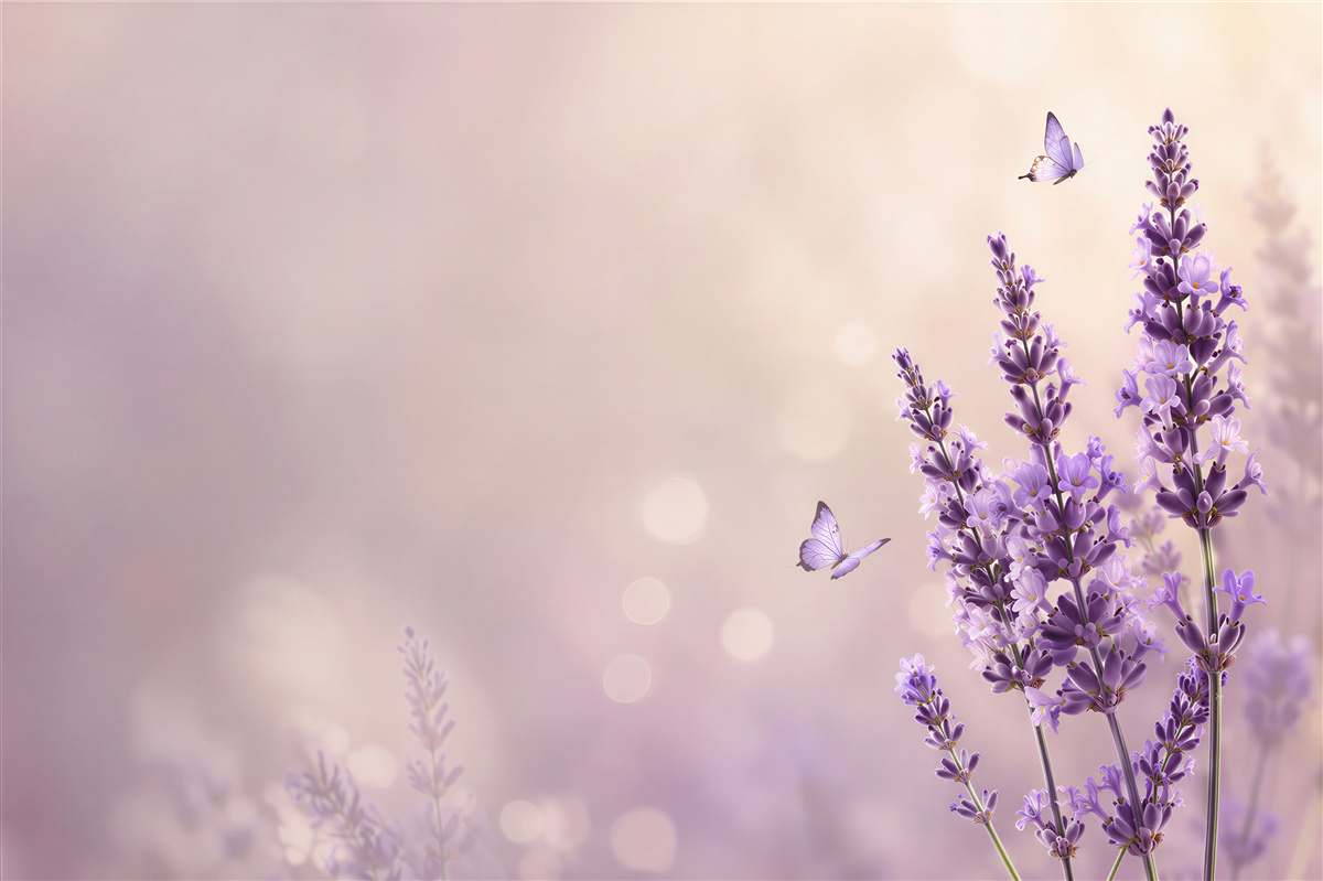 Dostawa gratis