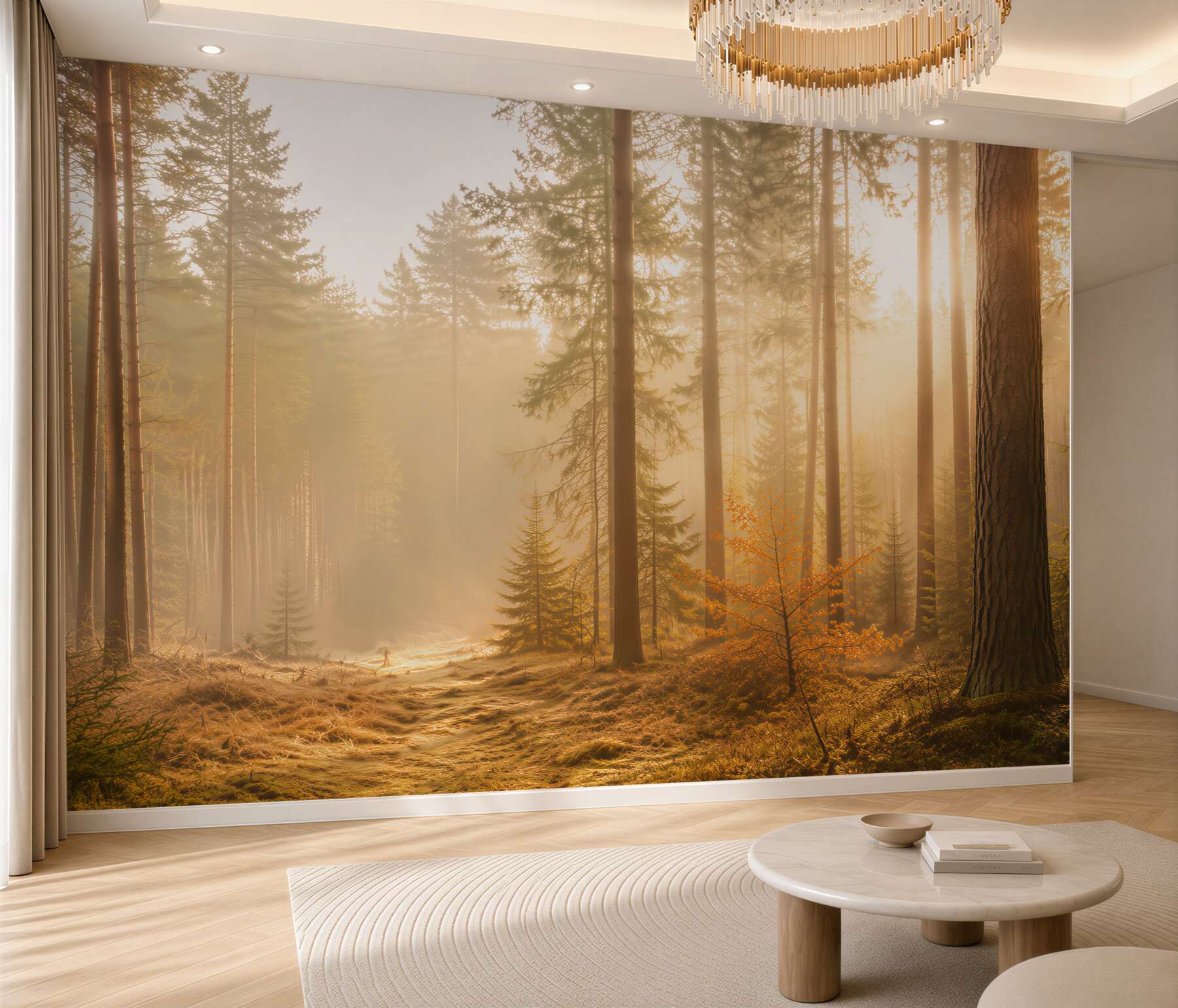 Fototapeta jesienny las i promienie słońca?v2345