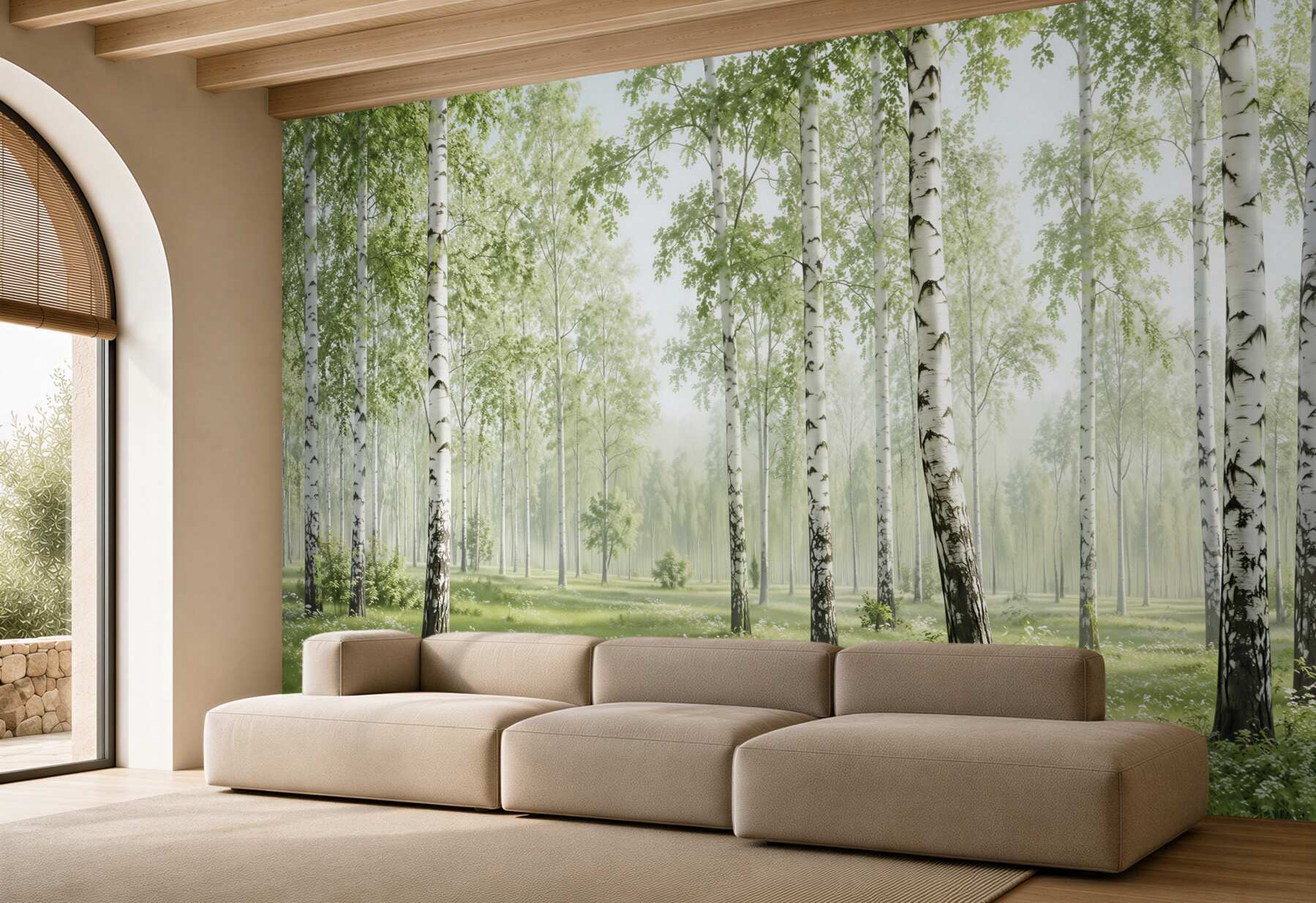 Fototapeta wiele brzoz w lesie?v2345