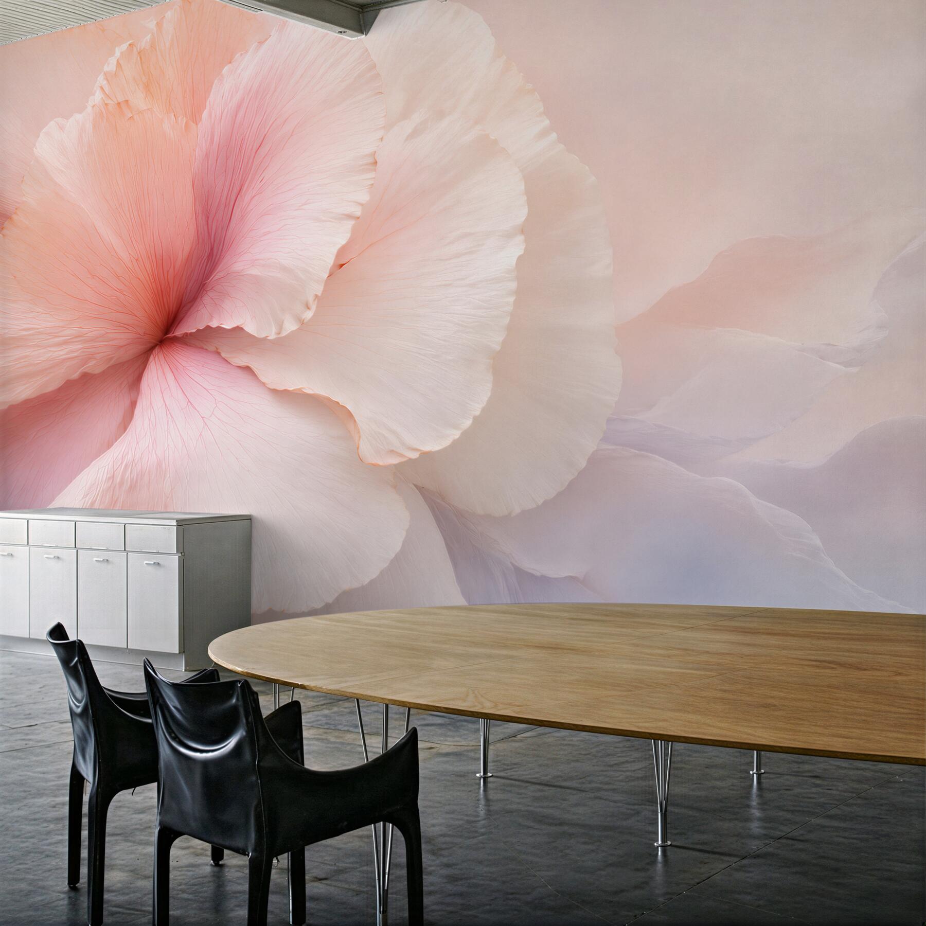Fototapeta pastelowy kwiat makro w odcieniach różu i bieli?v2345