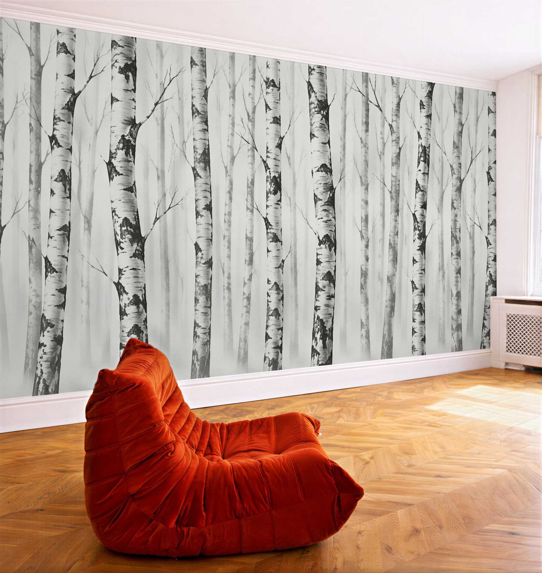 Fototapeta brzozowy las we mgle?v2345