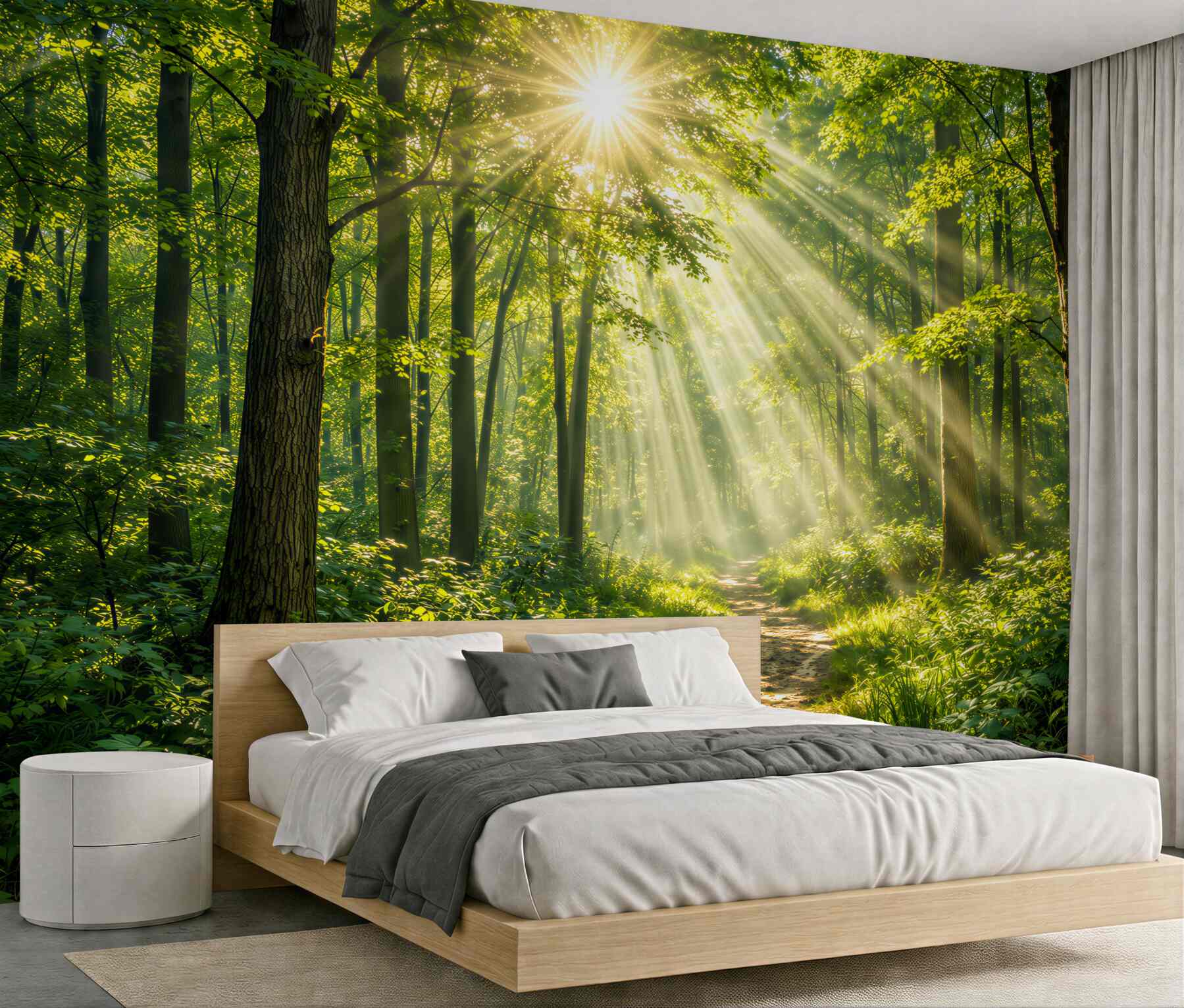 Fototapeta słoneczny las z leśną ścieżką?v2345
