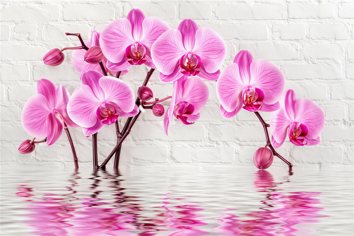 Fototapeta miękkie liliowe orchidee
