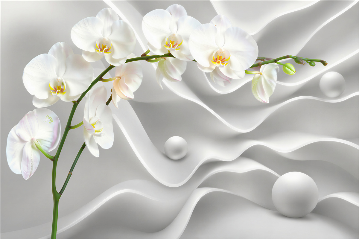 Fototapeta biała orchidea na szarym tle