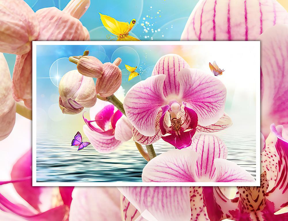 Fototapeta orchidee różowe oceaniczne