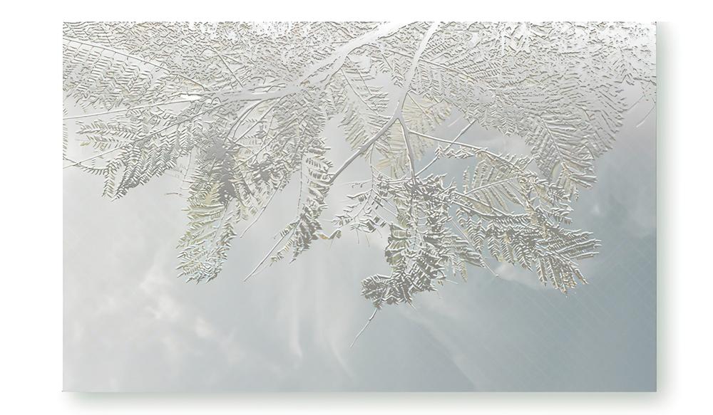 Fototapeta lodowe gałęzie