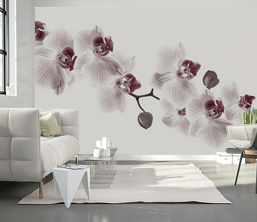 Fototapeta orchidea białe lila