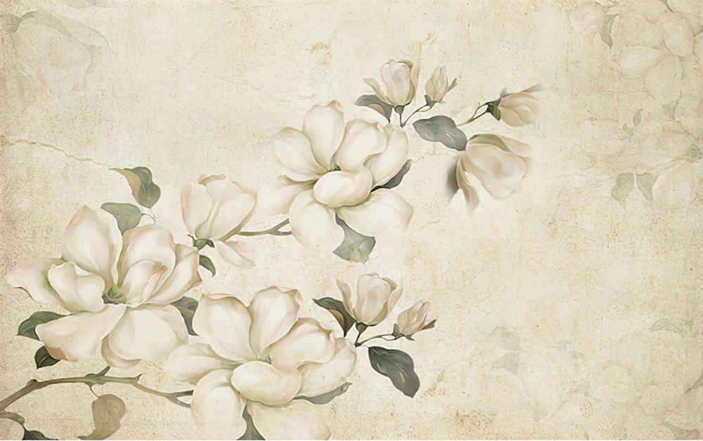 Fototapeta magnolie kremowe liście