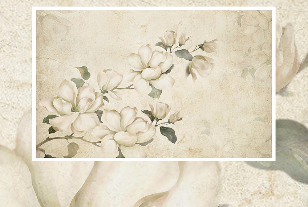Fototapeta magnolie kremowe liście