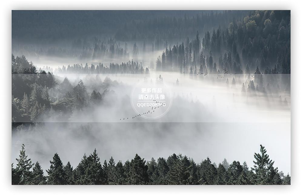Fototapeta las mgła