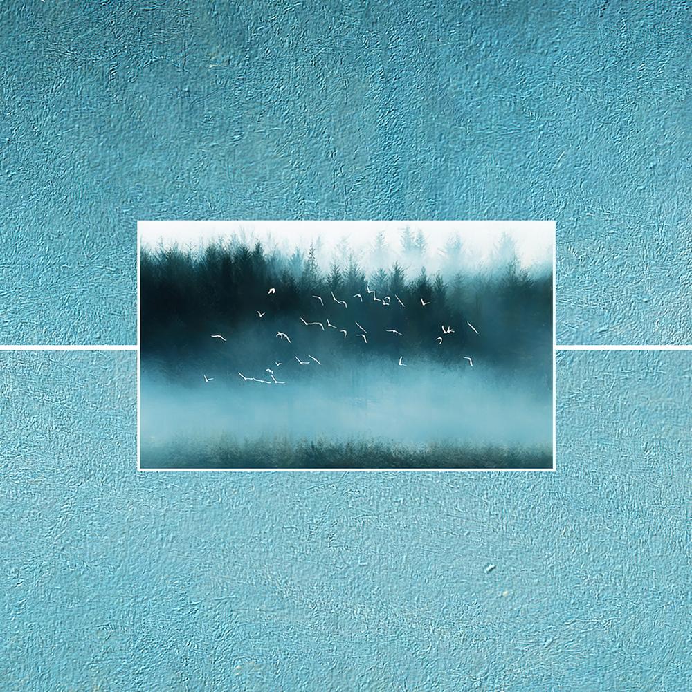 Fototapeta las srebrny ptaki