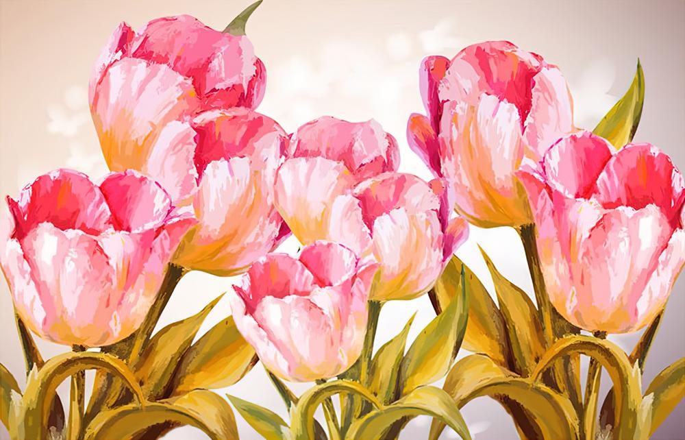 Fototapeta tulipany różowe