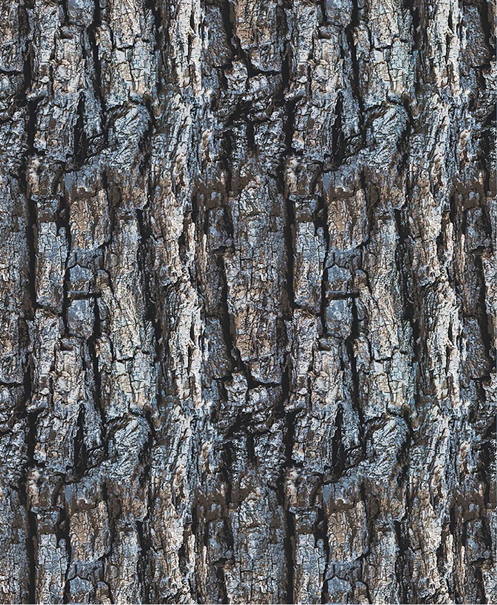 Fototapeta kora brązowa