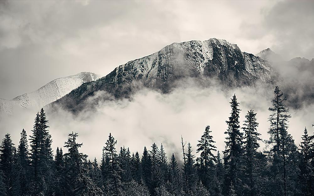 Fototapeta alpejska mgła las