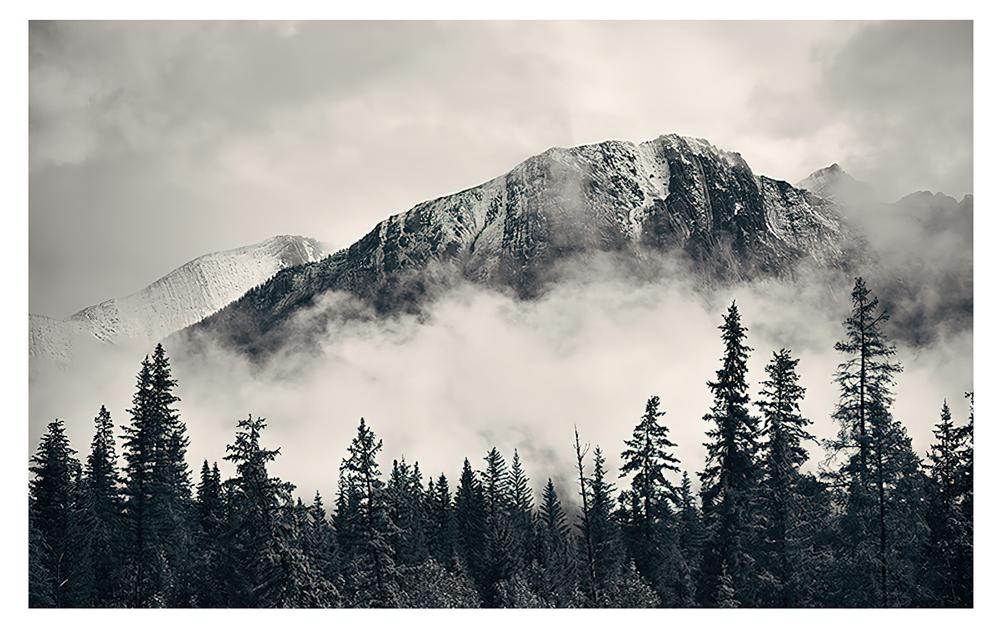 Fototapeta alpejska mgła las
