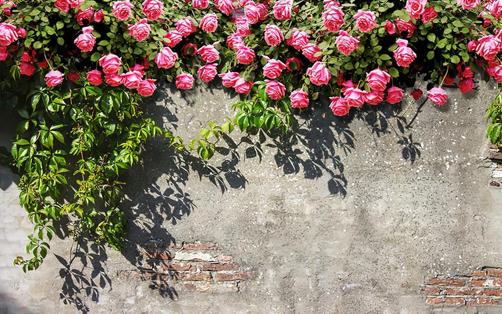 Fototapeta różowe liście beton