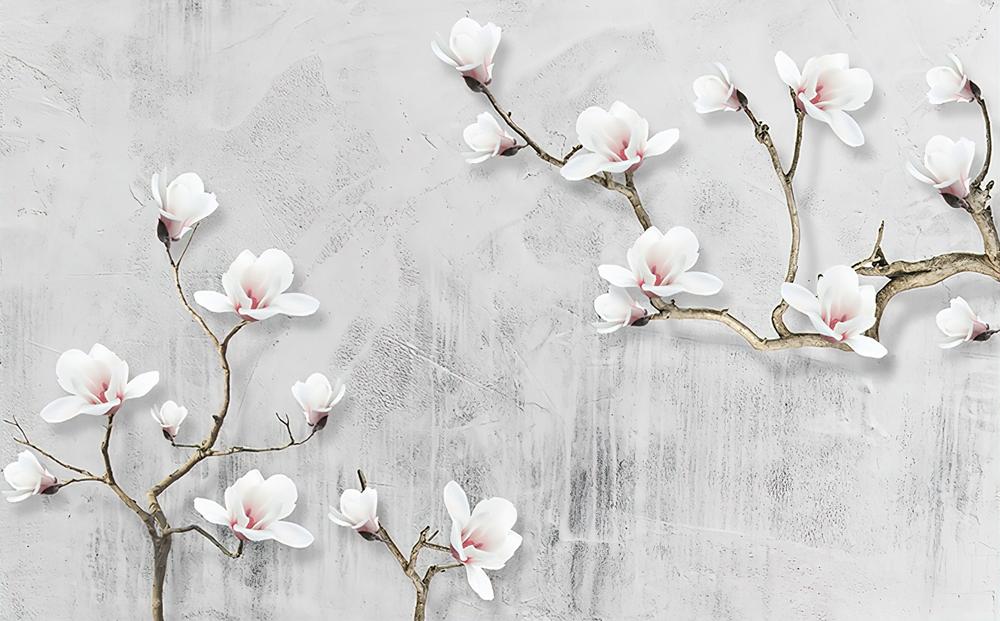 Fototapeta magnolia białe