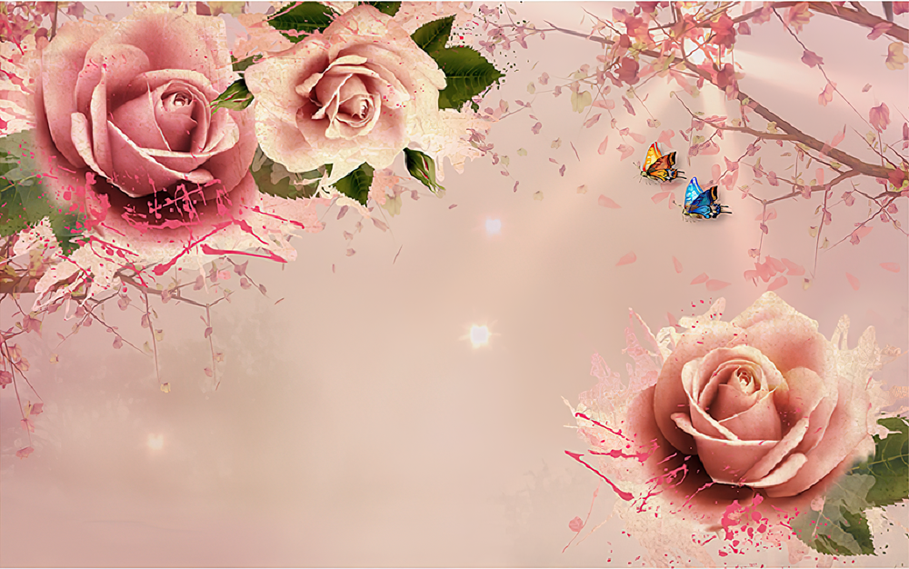 Fototapeta róż miękki
